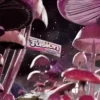 Buy Fusion Shroom Bar Online